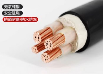 無(wú)氧純銅電纜